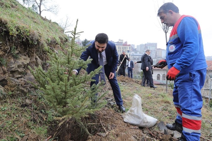 KAĞITHANE’DE YEŞİL GELECEK: HER BEBEK BİR AĞAÇLA BÜYÜYOR