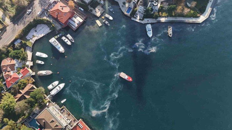 BOĞAZ’DA MİLYON DOLARLIK YALILARIN ÖNÜNDE DENİZANASI İSTİLASI