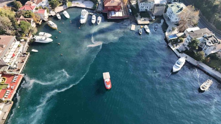 BOĞAZ’DA MİLYON DOLARLIK YALILARIN ÖNÜNDE DENİZANASI İSTİLASI