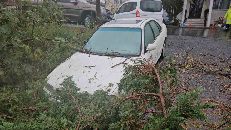 BEŞİKTAŞ’TA LODOS NEDENİYLE AĞAÇ OTOMOBİLİN ÜZERİNE DEVRİLDİ