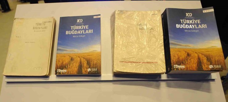 TÜRK BUĞDAYLARI KİTABI TARIM DÜNYASIYLA YENİDEN BULUŞTU