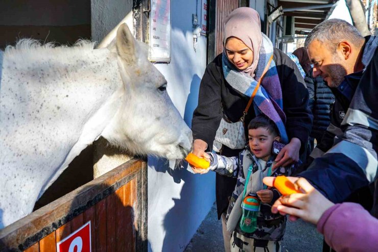 BEYOĞLU’NUN ÖZEL ÇOCUKLARI ATLI TERAPİDE BULUŞUYOR