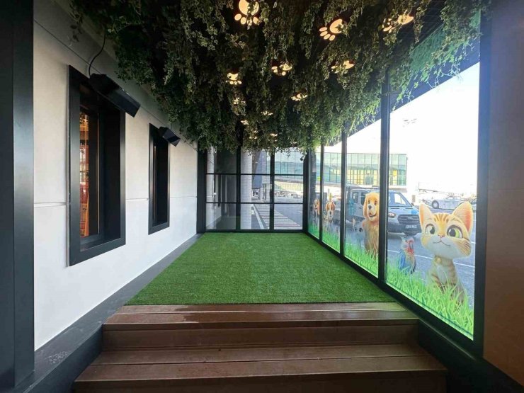 THY’DEN İSTANBUL HAVALİMANI’NA "PET LOUNGE"