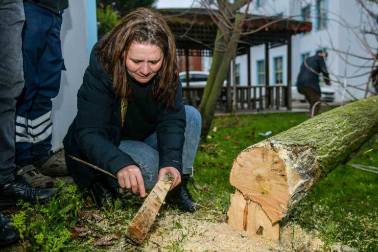 ESENYURT’TA TEKE BÖCEĞİNE KARŞI ETKİN MÜCADELE