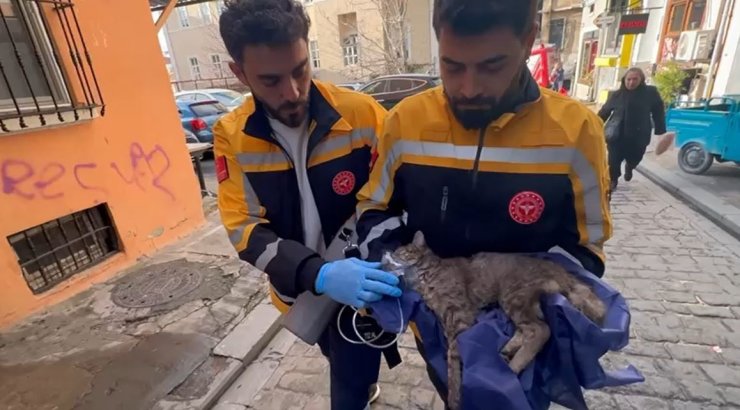 BEYOĞLU’NDA OTELDE KORKUTAN YANGIN: MAHSUR KALAN BİR KEDİ KURTARILDI