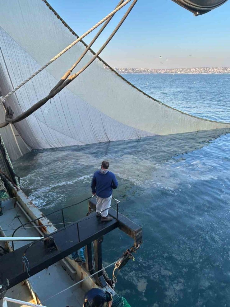 MARMARA DENİZİ’NDE AĞLARA BALIK YERİNE MÜSİLAJ TAKILDI