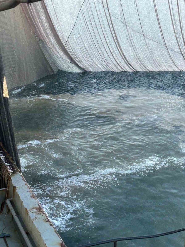 MARMARA DENİZİ’NDE AĞLARA BALIK YERİNE MÜSİLAJ TAKILDI