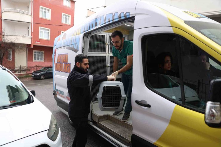 HAYVANLAR İÇİN YENİ PROJE: CANKURTARAN HAYVAN AMBULANSI