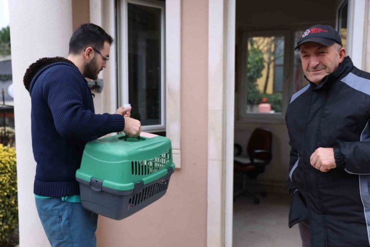 HAYVANLAR İÇİN YENİ PROJE: CANKURTARAN HAYVAN AMBULANSI