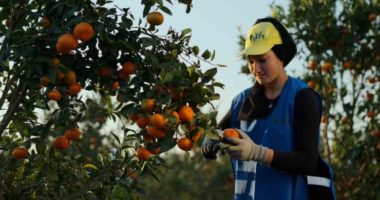 YAŞ MEYVE VE SEBZE İHRACAT REKORTMENİ ALTUN’DAN HALKA ARZ BAŞVURUSU