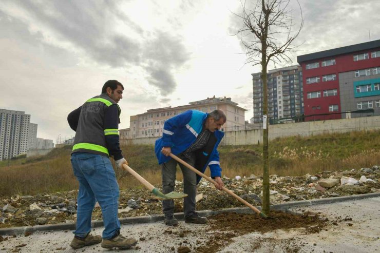 ESENYURT’UN SOKAKLARI AĞAÇLARLA SÜSLENİYOR