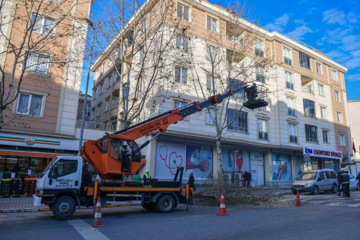 ESENYURT’TA AĞAÇLAR BUDAMA ÇALIŞMALARIYLA GÜÇLENİYOR