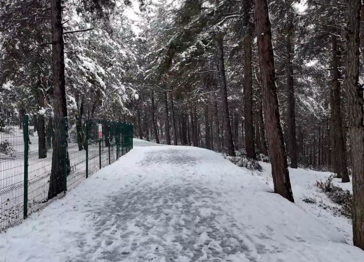 ŞAMLAR TABİAT PARKI’NDA OLUŞAN KARTPOSTALLIK GÖRÜNTÜ HAVADAN GÖRÜNTÜLENDİ