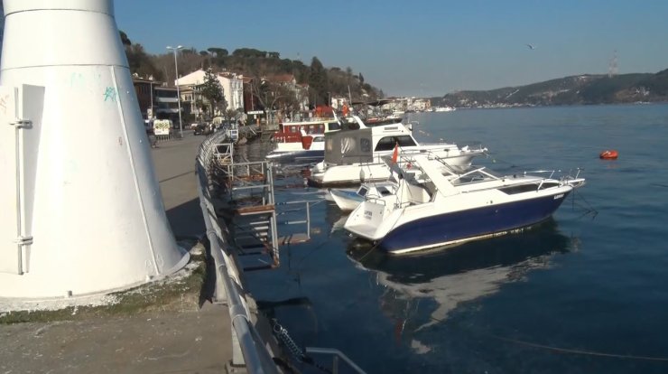 SARIYER’DE BİNLERCE DENİZANASI KIYIYA VURDU